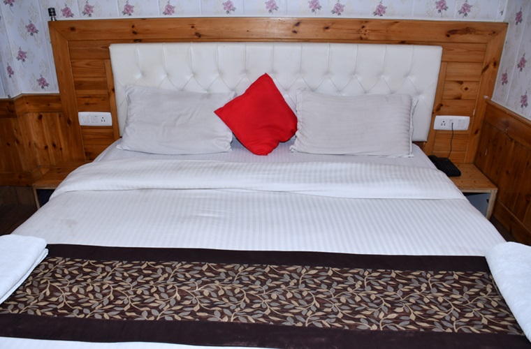 Hotel The Elena Manali